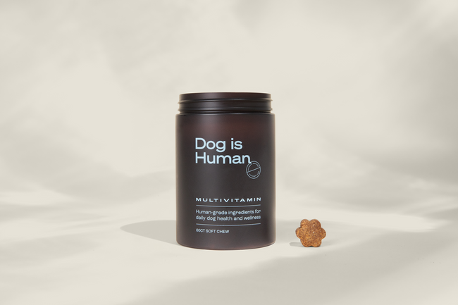DM-01™ Daily Multivitamin Hover Image